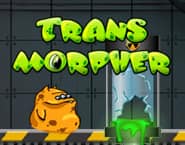 Transmorpher 1