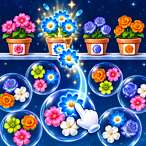Pop Flower