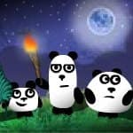 3 Pandas 2: Night